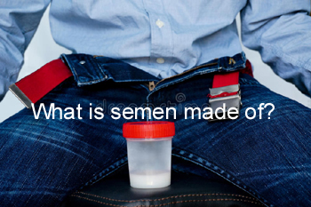 what is semen made of